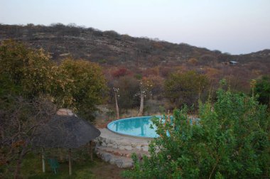 Vahşi bozkırda Cheetha, Afrika Hayvanı