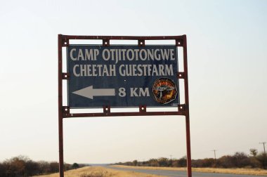 Vahşi bozkırda Cheetha, Afrika Hayvanı