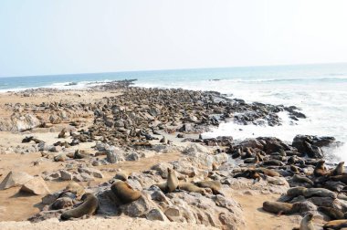 Deniz kıyısının güzel manzarası