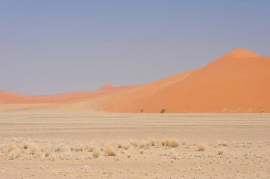 Namib Çölü, çiçek yapraklarının ve sossusvlei namibyanın en iyisidir.