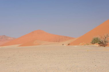 Namib Çölü peyzaj