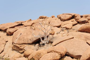 Güzel dağ manzara arka plan