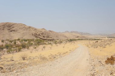 İsrail 'de çölün ortasında bir yol.