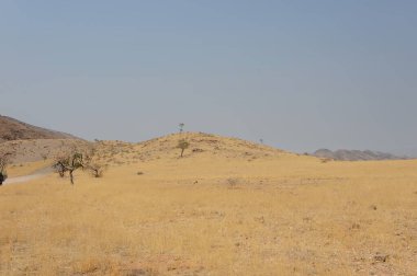 Afrika 'daki namibya manzarası