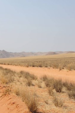 Çölün güzel manzarası