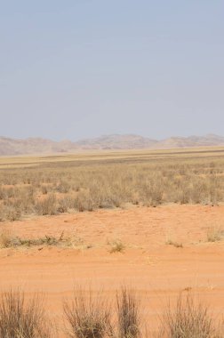 İsrail 'in kuzeyindeki Negev Çölü' nün güzel manzarası