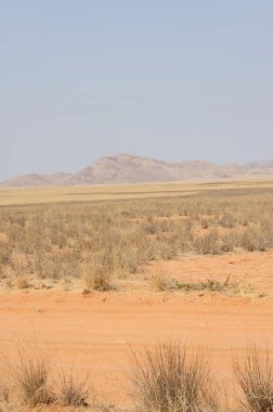 Namibya, Afrika 'daki güzel manzara