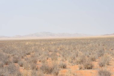 Namibya 'nın güzel doğası - namibya, afrika - Namibya' nın fotoğrafçılığı