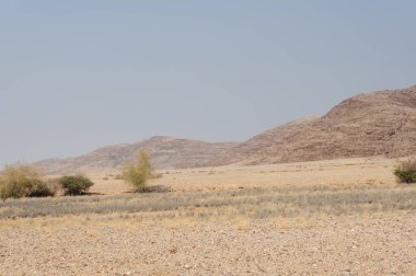 Güzel limasol moliin cythe