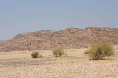 İsrail 'in kuzeyindeki Negev Çölü' nün güzel manzarası