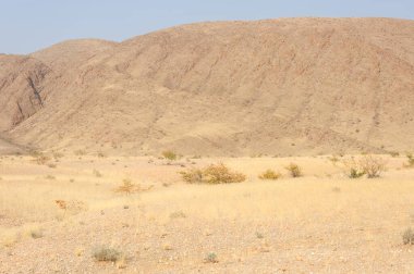 Kuru çöldeki namibya manzarası