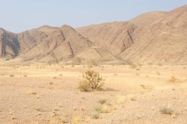 Arkasında bir dağ olan güzel bir manzara.