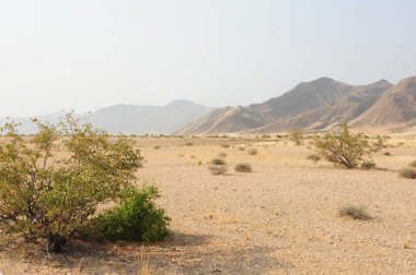 Kıbrıs'ta güzel Limasol Molos