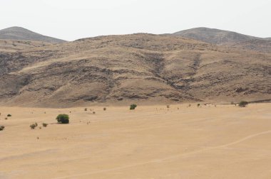 İsrail 'in kuzeyindeki ölü denizin çölündeki yol.
