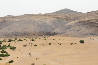 Dağların güzel manzarası