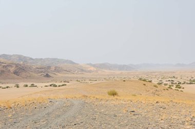 Çölün ortasında yol manzarası