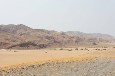 İsrail 'in kuzeyindeki Negev Çölü' nün güzel manzarası