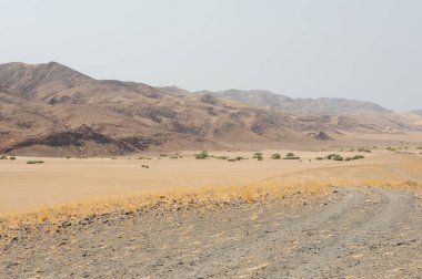 Dağlar ve ağaçlarla dolu çöl manzarası