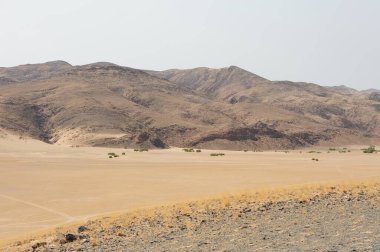 Çölün güzel manzarası