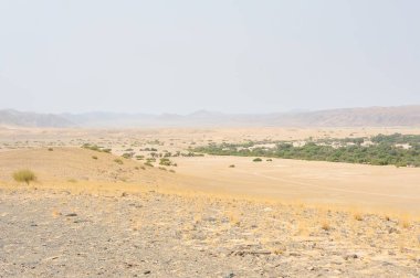 Dağlarda bir ağacı olan güzel bir manzara.