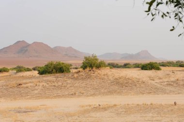 Mısırdaki Sahara Çölü, Afrika