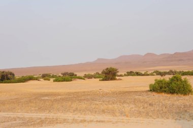 Mısır 'ın Sahara' sındaki Çölün manzarası