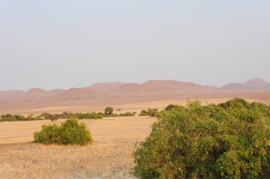 Sahara 'daki çöl ve sahara.