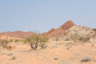 İsrail 'in kuzeyindeki Negev Çölü' nün güzel manzarası