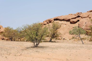 Doğa sahnesinin resimsel görüntüsü