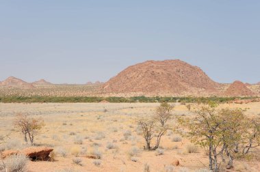 Büyük bir namibya çölü olan güzel bir manzara.