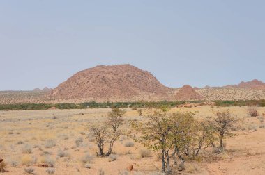 Çölün güzel manzarası