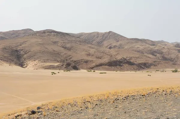 Çölün güzel manzarası