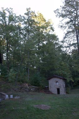 Ormandaki ahşap kulübenin dikey görüntüsü.