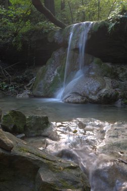 Ormanda güzel bir şelale