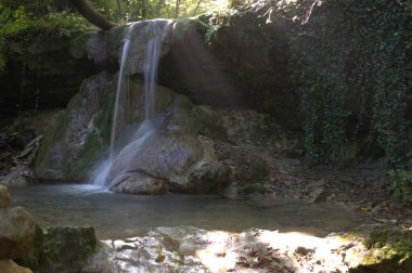 Ormanda güzel bir şelale.