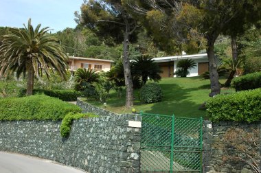 Parkın güzel manzarası Ağaçlar ve bitkilerle