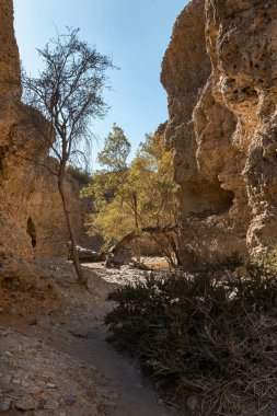 İsrail 'deki Negev Çölü' nün kanyonundaki nehrin kanyonundan manzara.