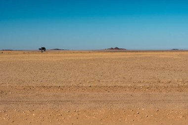 Ölü ağaçların çölü..