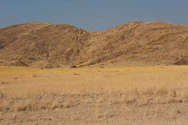 İsrail 'in kuzeyindeki Negev Çölü' nün güzel manzarası