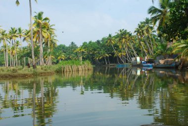 Güzel göl manzarası