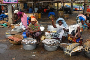 Sri lanka, Sri lanka - 15 Aralık 0218: Balık pazarındaki yerel balık