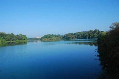 Göl ve ağaçlarla dolu güzel bir manzara