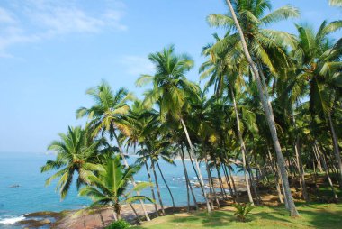 Sahilin güzel manzarası.