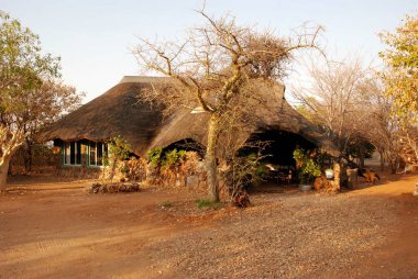 Kenya, Afrika 'daki tipik Masai Mara köyü.