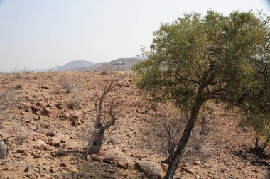 Doğanın güzel manzarası