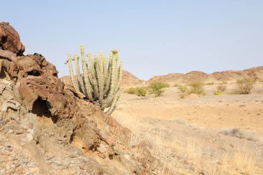 Fas Çölü, Afrika manzarası
