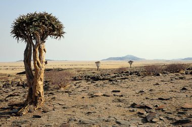Namib Kluft Ulusal Parkı Namibya 'sındaki namib çölü.