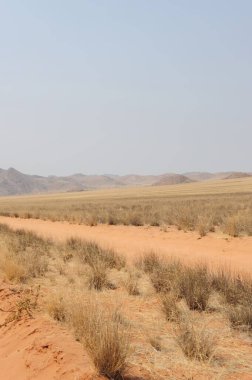 İsrail 'deki Negev Çölü manzarası