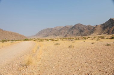 Çölde yol