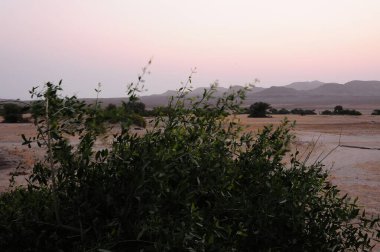 Ağacı olan güzel bir manzara